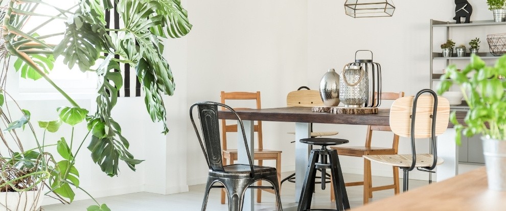 Krzesła do salonu oggi – must have w funkcjonalnej aranżacji